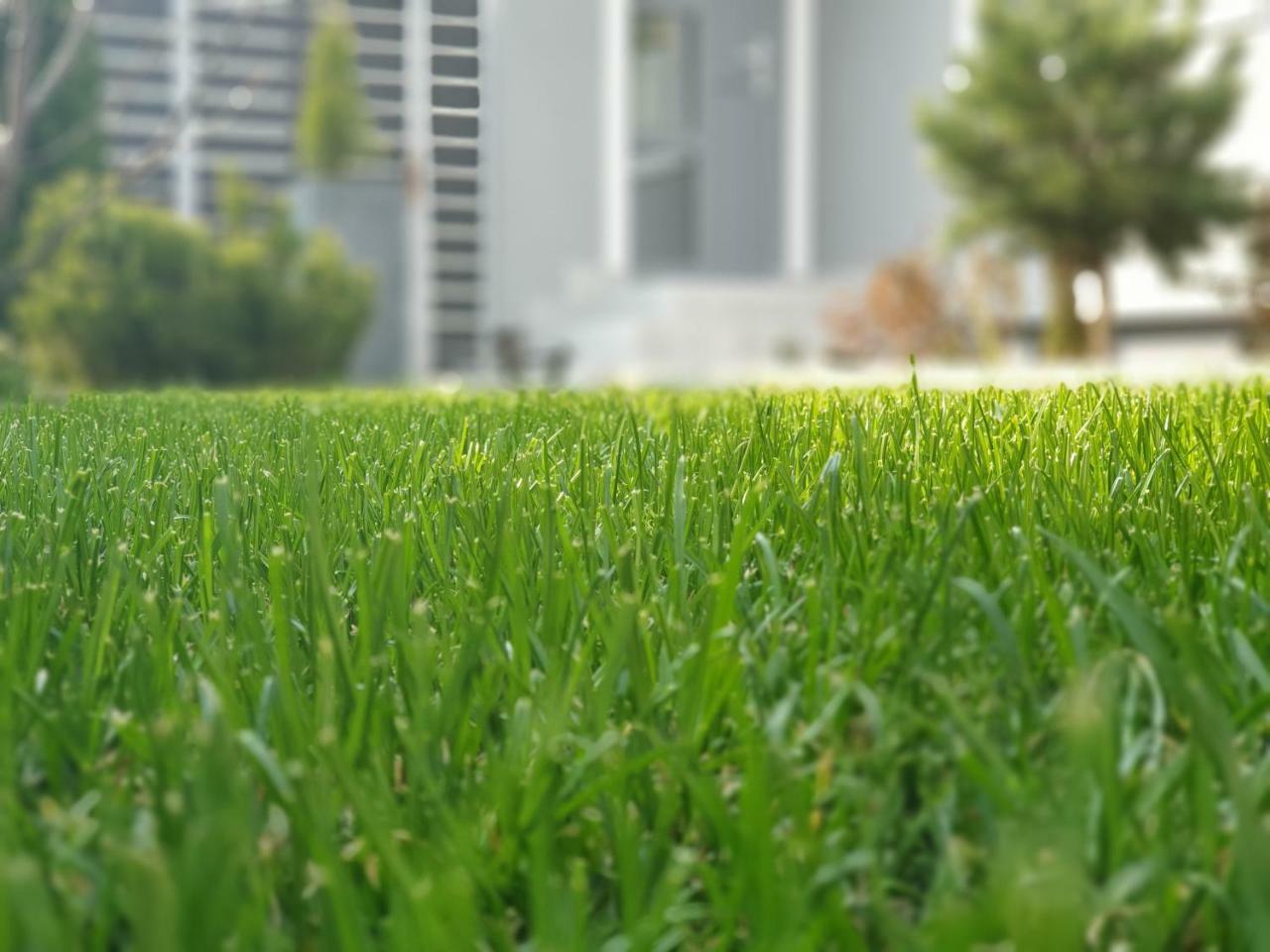 VillaGrey Tunari Tunarii Exterior foto